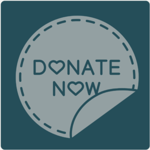Donate Now button